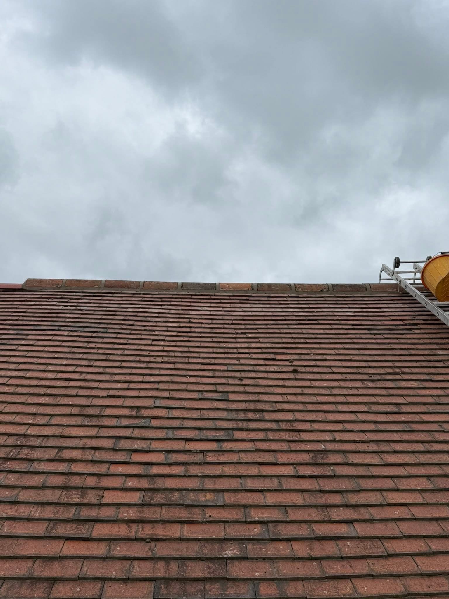 Black fascia, soffit and guttering